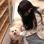 当了个岛主红包版下载